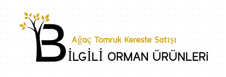 Ağaç tomruk kereste bilgili orman ürünleri favion