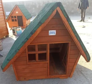 Sevgili Patili Dostlarınız İçin Konfor